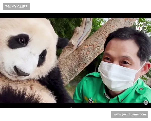 马来西亚球迷机场举中文标语热情欢迎成都蓉城 熊猫元素成为焦点 马来西亚球迷机场举中文标语热情欢迎成都蓉城 熊猫元素成为焦点